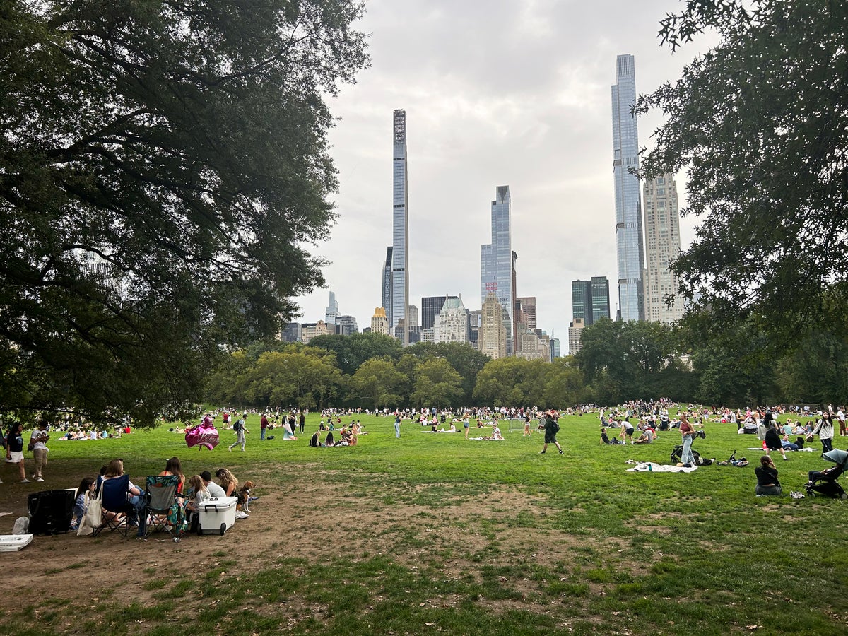 New York City Sheep Meadow light trees in Central Park