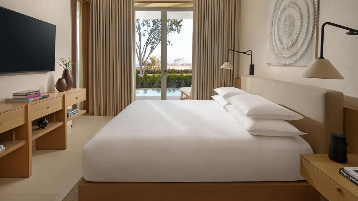 Park Hyatt Plunge Pool Room