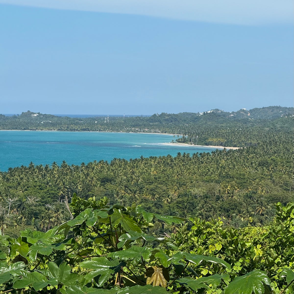 Samana