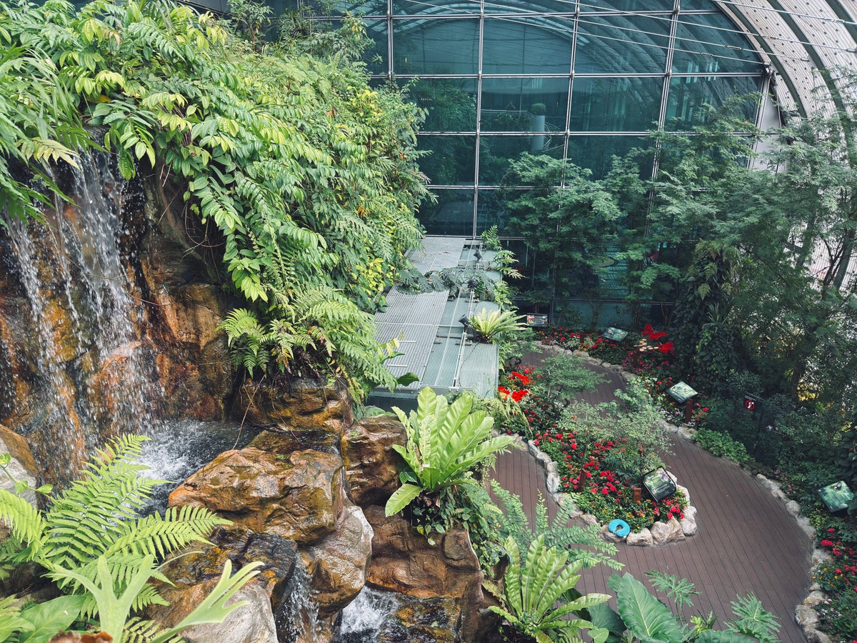 Singapore Changi Airport Butterfly Garden