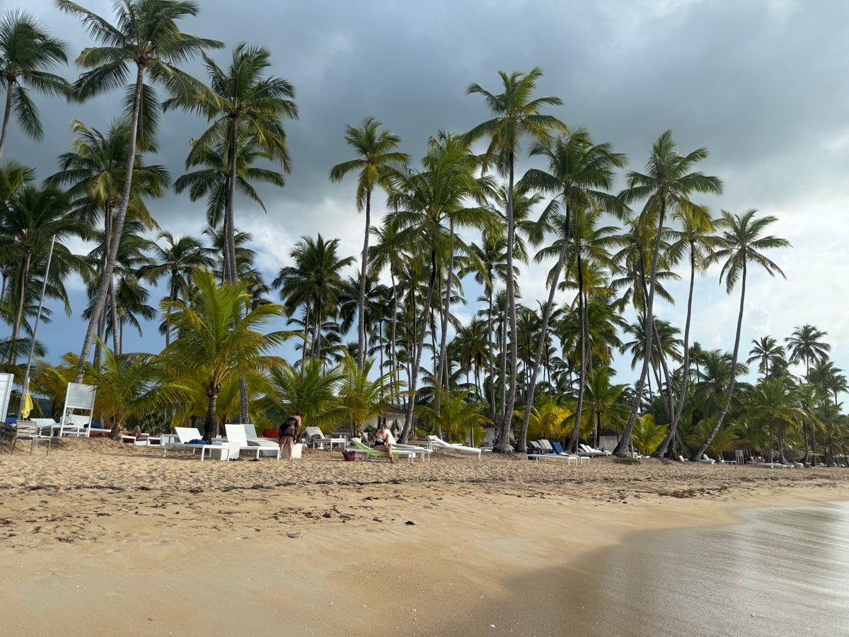 Viva V Samana Beach
