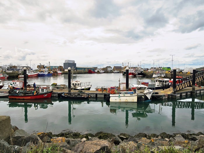 8 Reasons Howth, Ireland, Is the Perfect Day Trip From Dublin