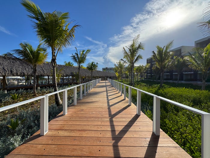 W Punta Cana Boardwalk Green Lush Plants