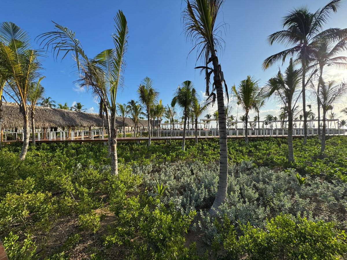 W Punta Cana Lush Green