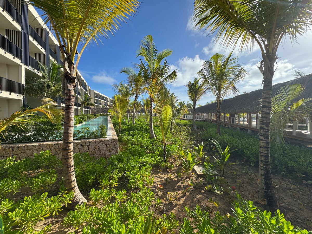 W Punta Cana Plants