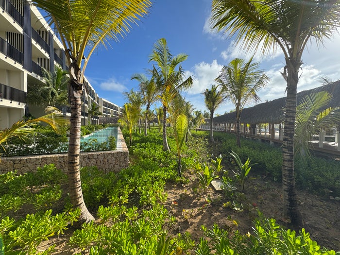 W Punta Cana Plants