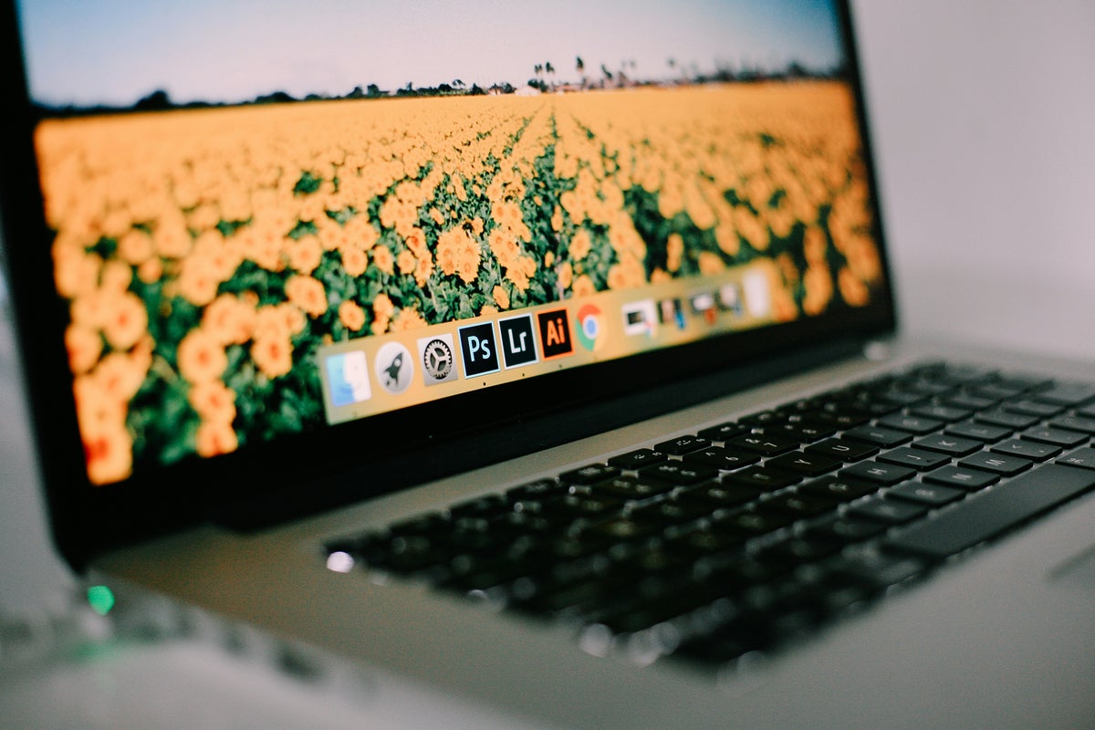 mikaela shannon clN6N30q3sw unsplash