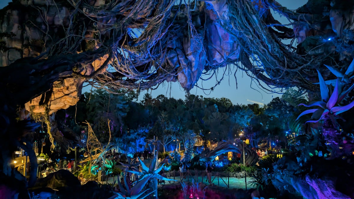 Disney’s Animal Kingdom Pandora at night Animal Kingdom Pandora at night