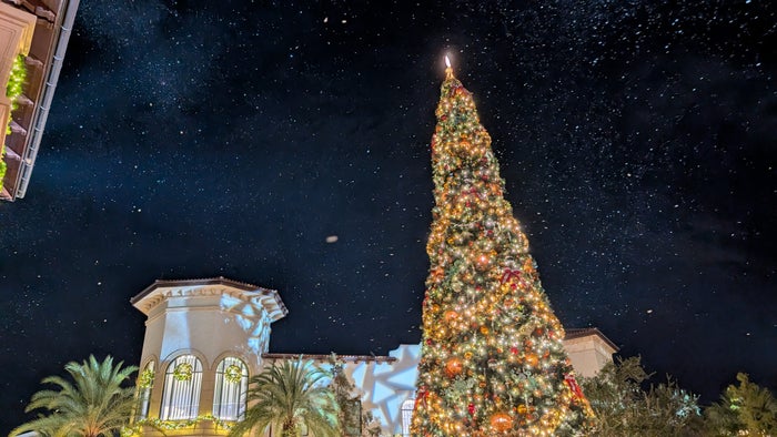 Disney Springs Christmas tree and snoap