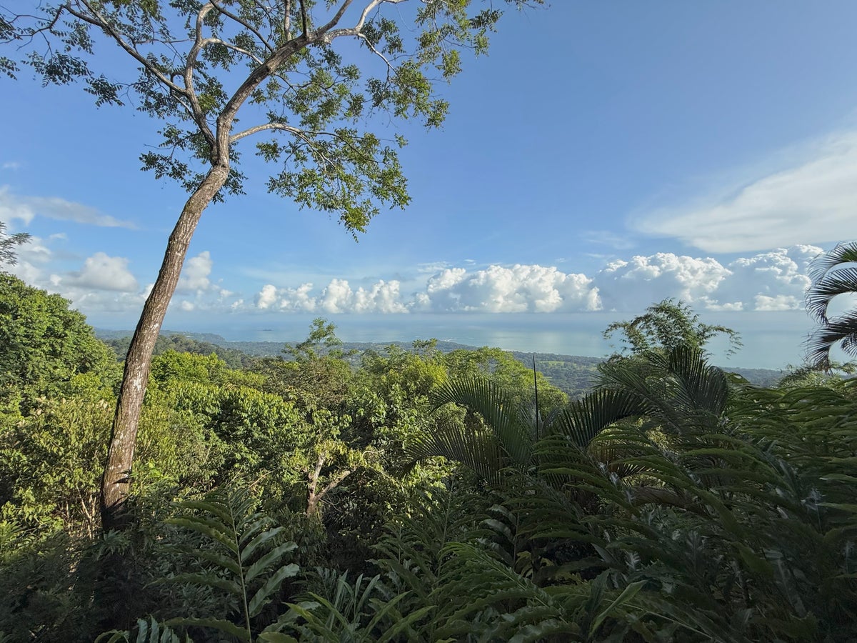 Kura Boutique Costa Rica suite view