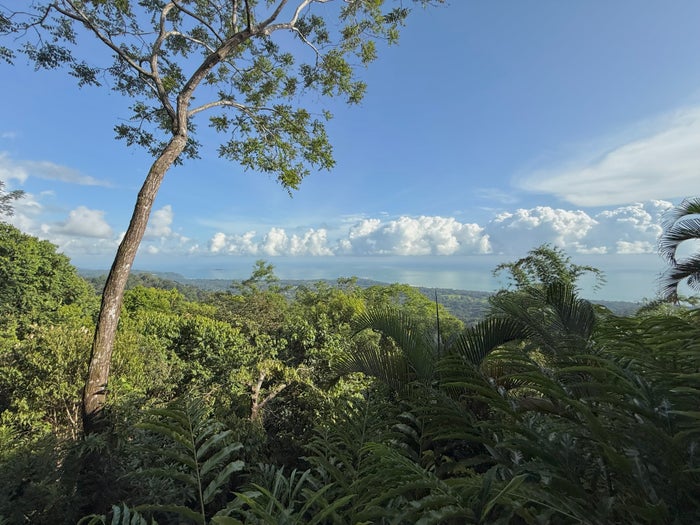 Kura Boutique Costa Rica suite view