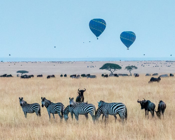Choice Hotels To Debut in Africa, Will Open Resort in Masai Mara National Reserve