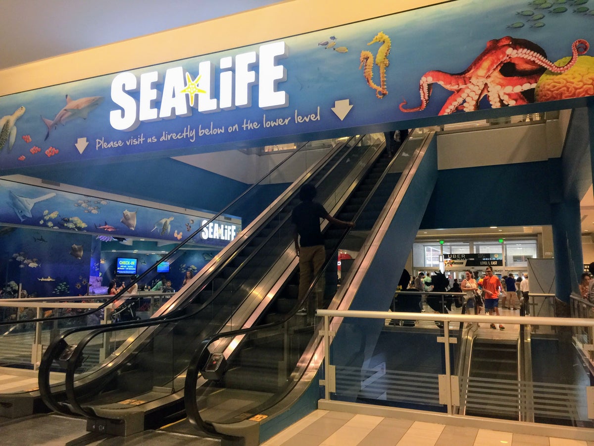 SEA LIFE Aquarium Mall of America