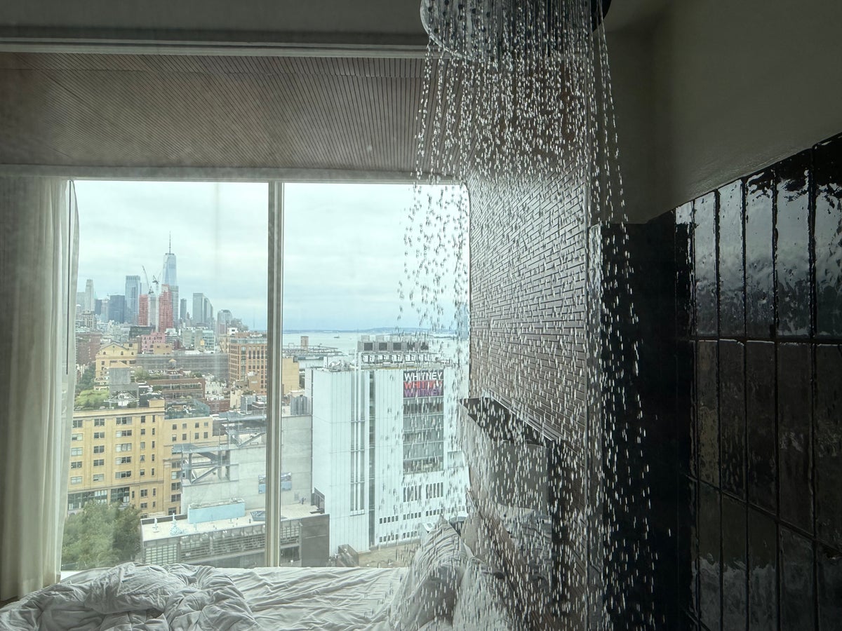 The Standard Highline New York shower view