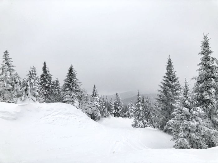 Vermont snowy evergreen tress Vermont snowy evergreen tress