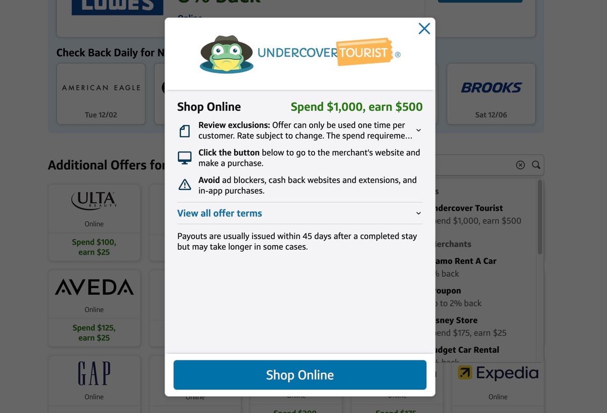 Capital One Offer Undercover Tourist