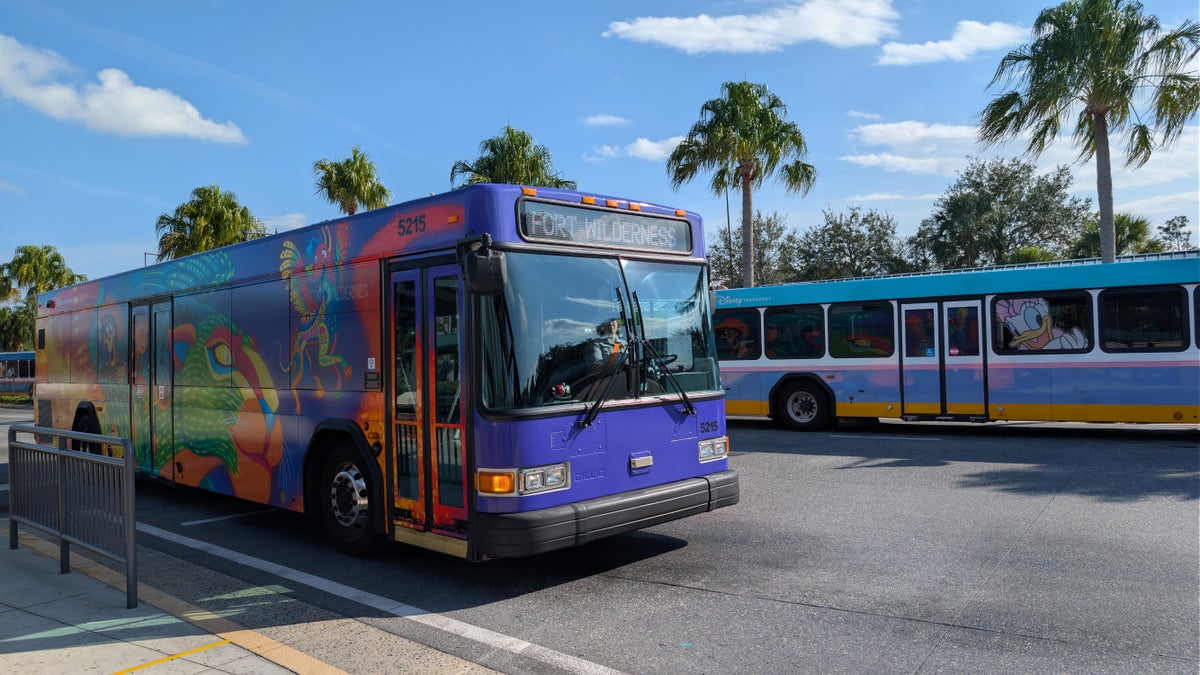 Disney Springs bus