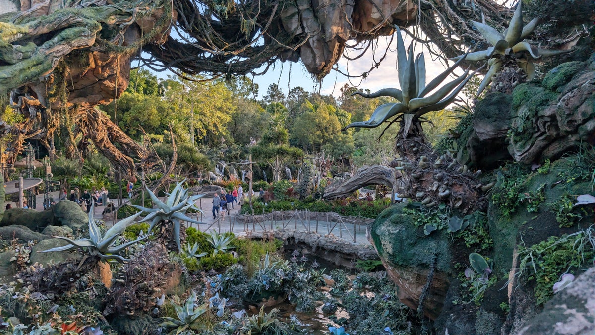 Disney's All Star Sports Resort Animal Kingdom early entry
