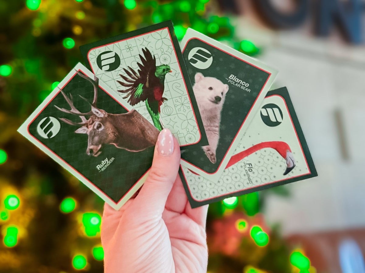 Frontier holiday trading card collection