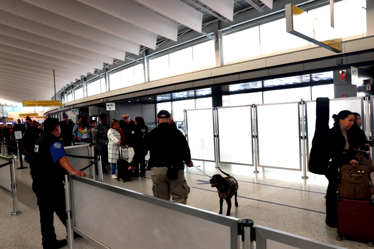 JFK security dog JFK security dog