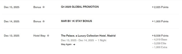 The Palace Madrid Marriott Bonvoy Points