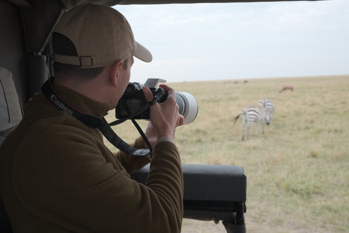 jarrod zebra