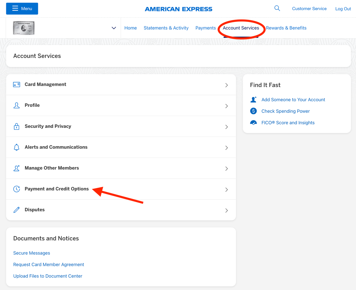 Amex Platinum card payment credit options