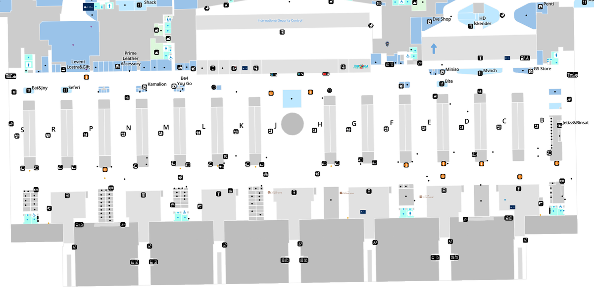 Istanbul Airport Checkin