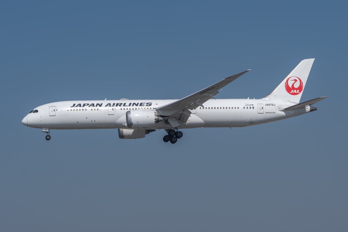 Japan Airlines 787 Dreamliner Japan Airlines 787 Dreamliner