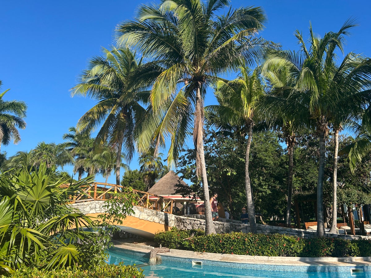 Tropical vibes Iberostar Waves Paraiso Beach