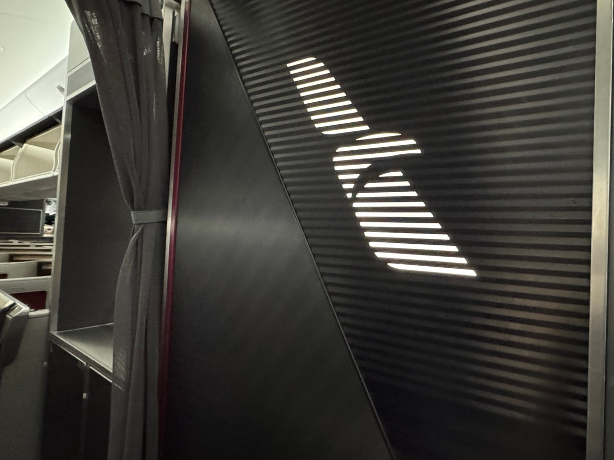 AA Flagship Logo Plane