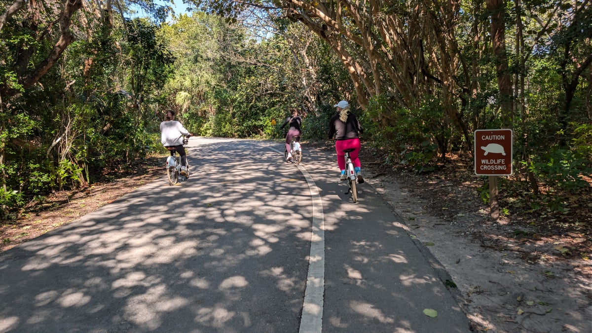 Beach House Fort Lauderdale bikes to state park