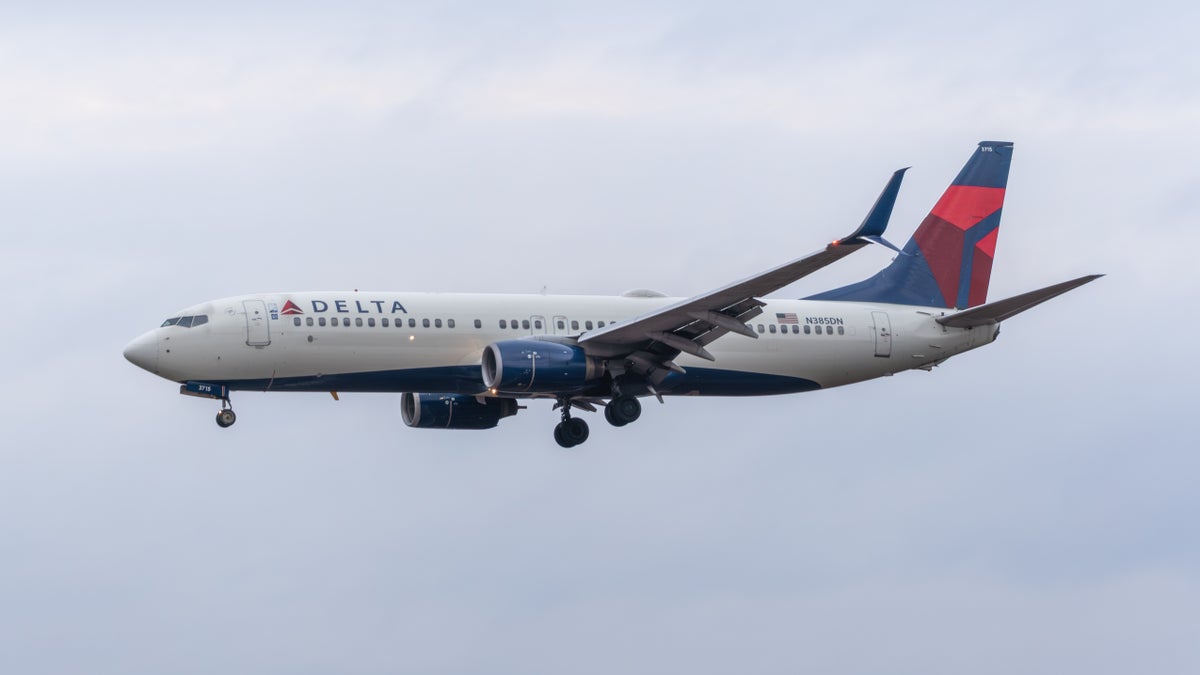 Delta Air Lines 737 Max