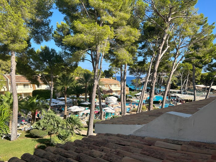 Iberostar Pinos Park (2)