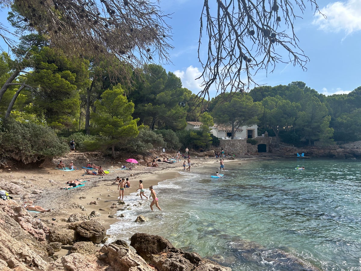 Iberostar Pinos Park (4)