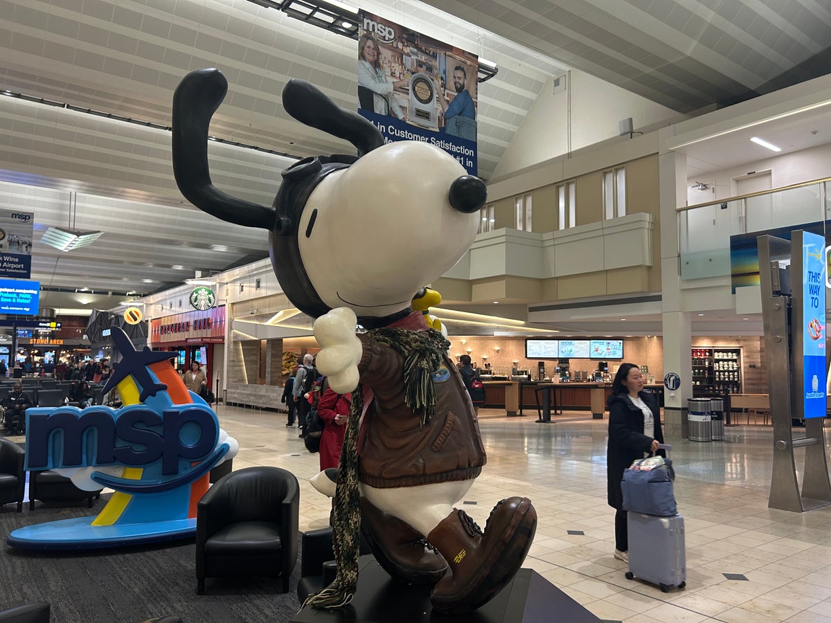 MSP Snoopy MSP Snoopy