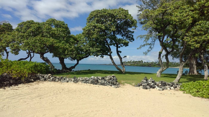 paddy kumar Hdtk8F2XlJA unsplash Hilo Hawaii