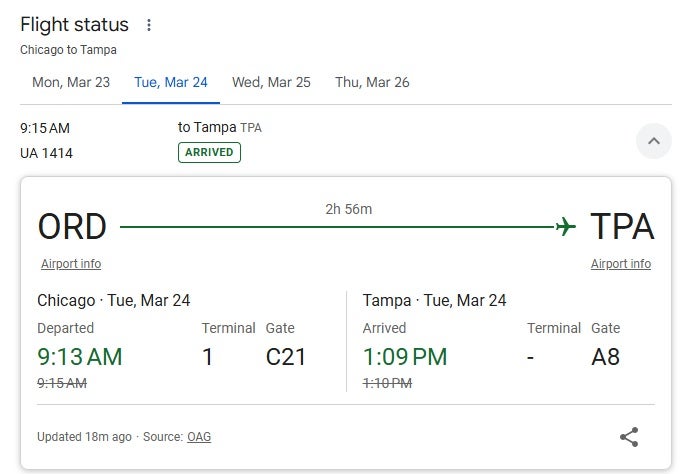 Google Flight Status Search