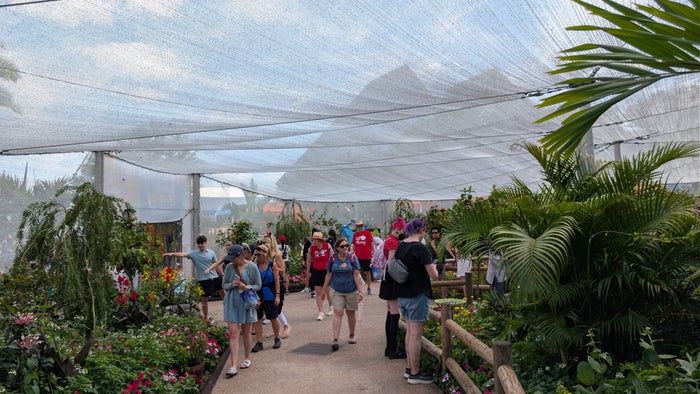 2026 EPCOT International Flower & Garden Festival Butterfly Landing