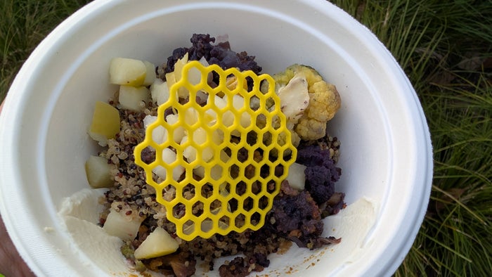 PXL 20260413 232709962 2026 EPCOT International Flower & Garden Festival Honey Bee stro honeycomb bowl