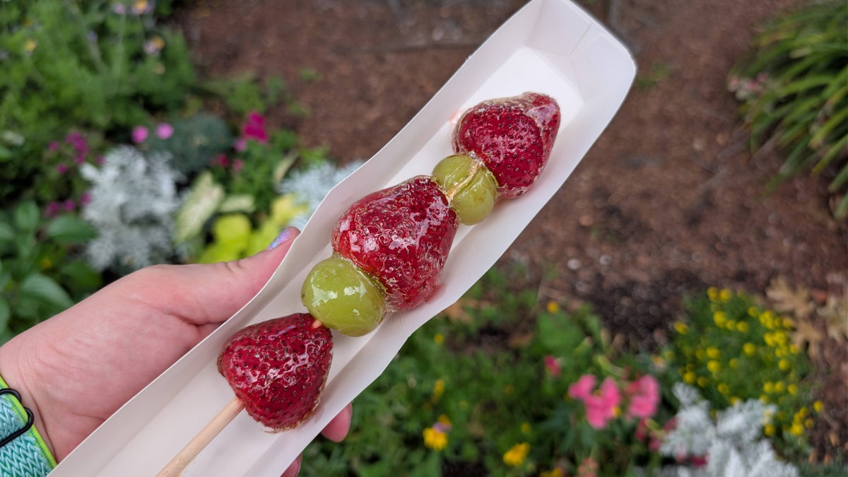 2026 EPCOT International Flower & Garden Festival fruit skewer