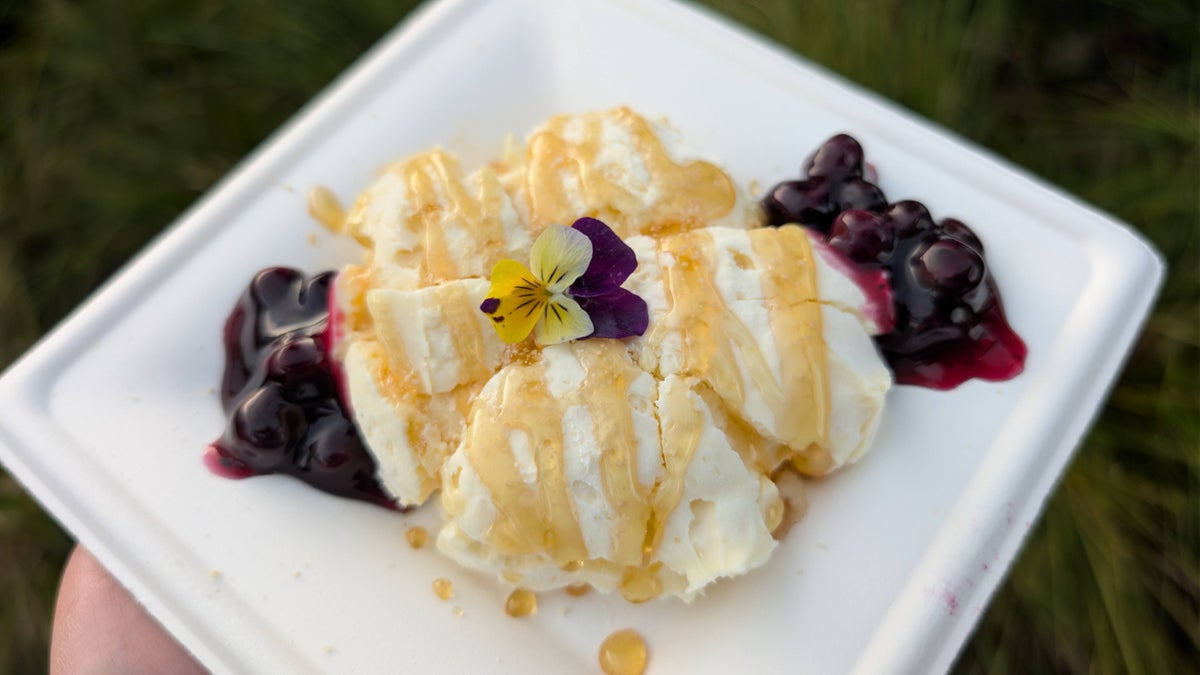 2026 EPCOT International Flower & Garden Festival liquid nitrogen cheesecake
