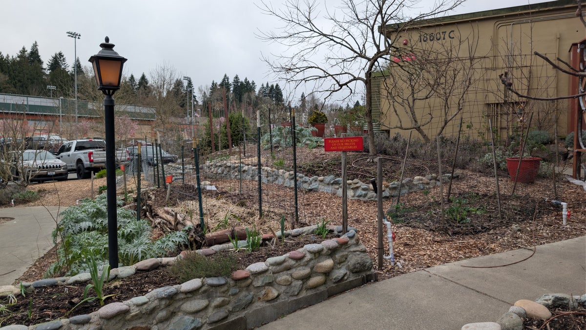 McMenamins Anderson School Hotel garden