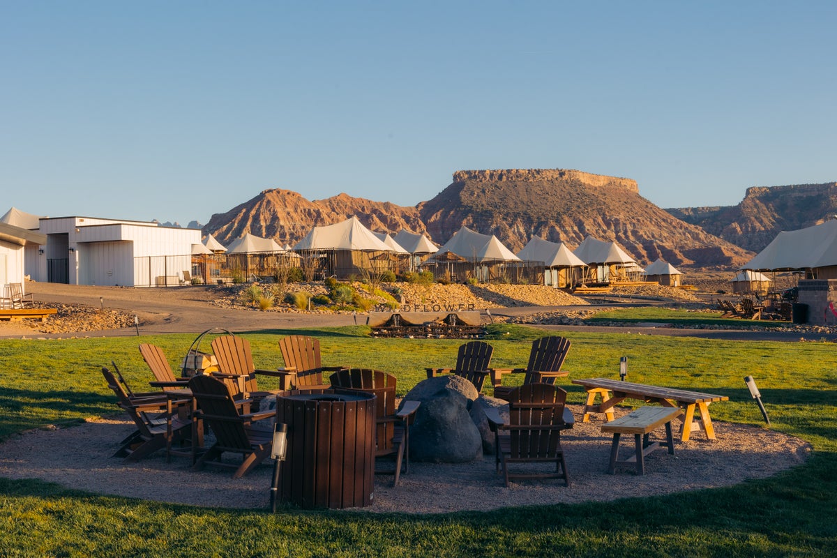 Zion Wildflower 2 Zion Wildflower 2