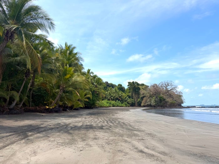 Isla Palenque Panama deserted beach
