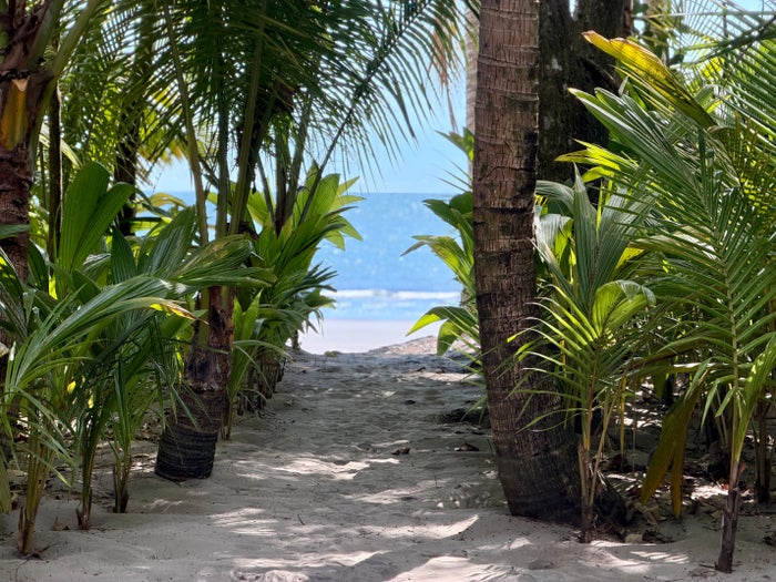 Isla Palenque Panama room beach access