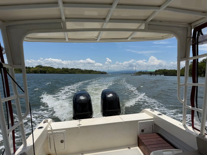 Isla Palenque Panama view from boat