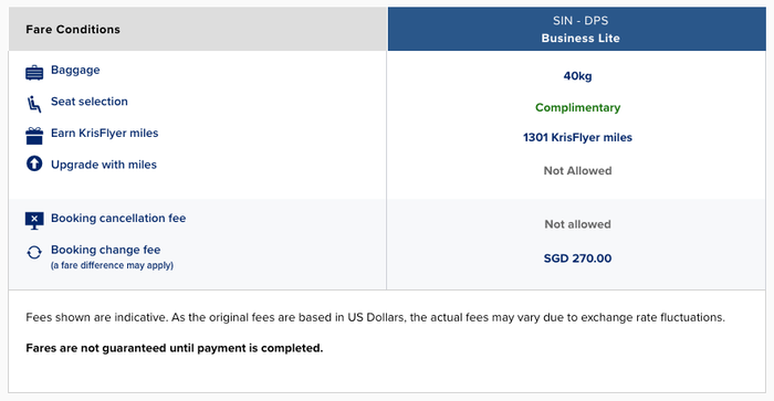Singapore Business Lite Ticket Conditions