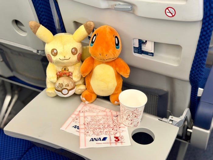 ANA Pokemon Red plane interior napkins and cups