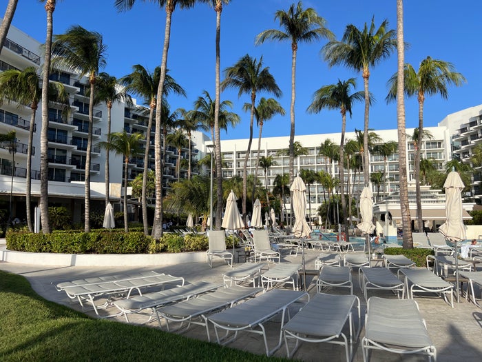 Aruba Marriott Resort main pool loungers